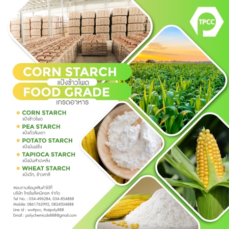 แป้งข้าวโพด, CORN STARCH, สตาร์ชข้าวโพด, โทร 034854888, โทร 0824504888, ไลน์ไอดี thaipoly888